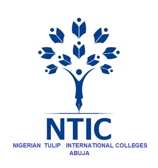 NTIC logo